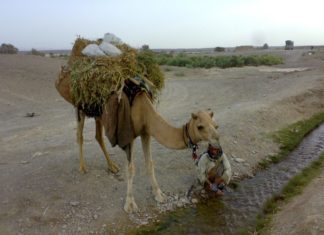 The dark and depressing Panjgoor