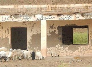 Education and Mehristan