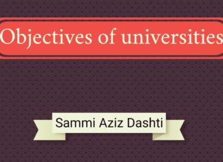 Objectives of Universities