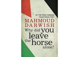 Why did you leave the horse alone?