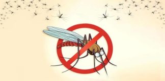 World Malaria Day 2020