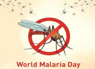 World Malaria Day 2020