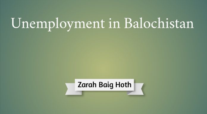 Unemployment in Balochistan Zarah Baig Hoth