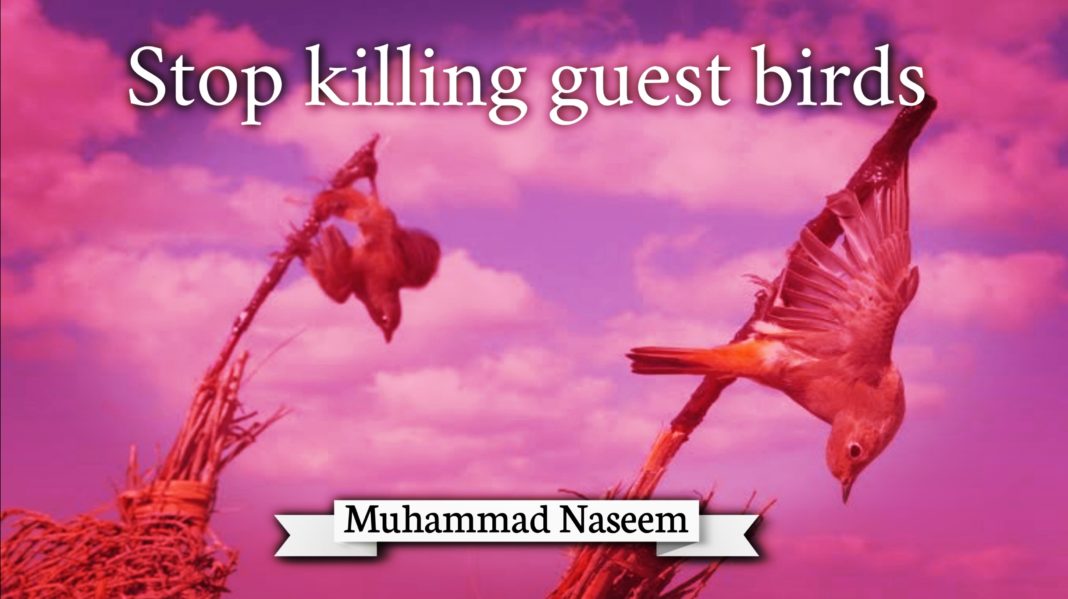 Stop killing guest Birds Muhammad Naseem