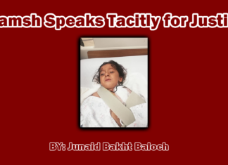 Bramsh speaks tacitly for Justice Bramsh speaks tacitly for Justice