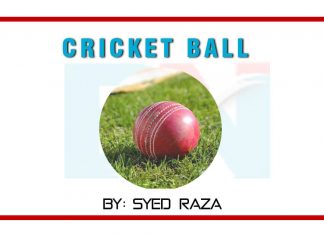 Cricket Ball Cricket Ball