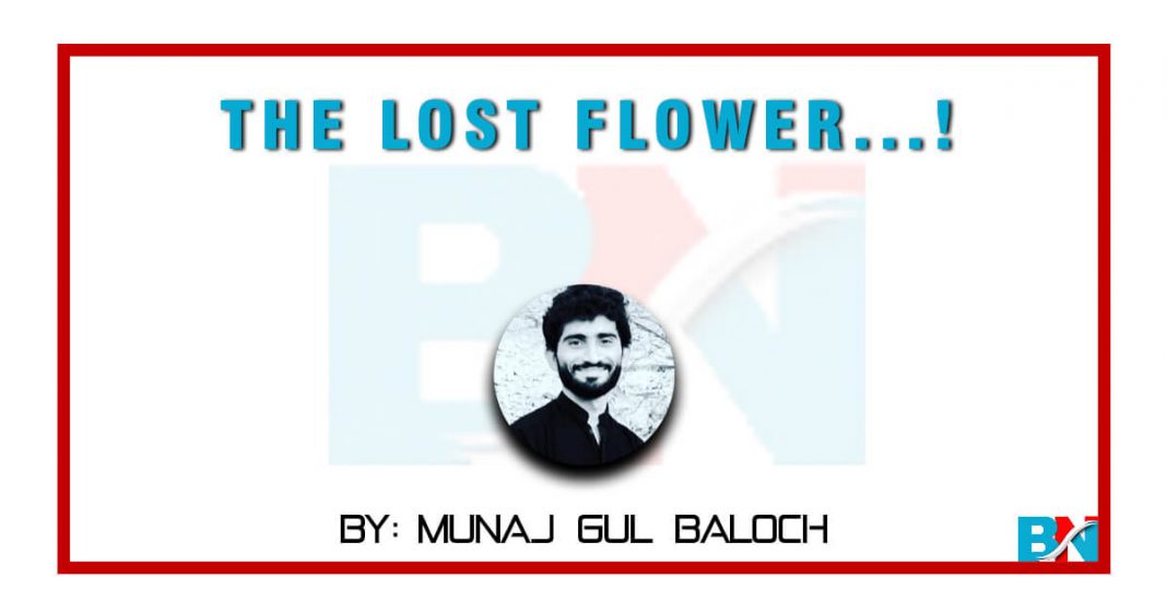 The lost Flowers