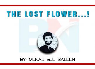 The lost Flowers