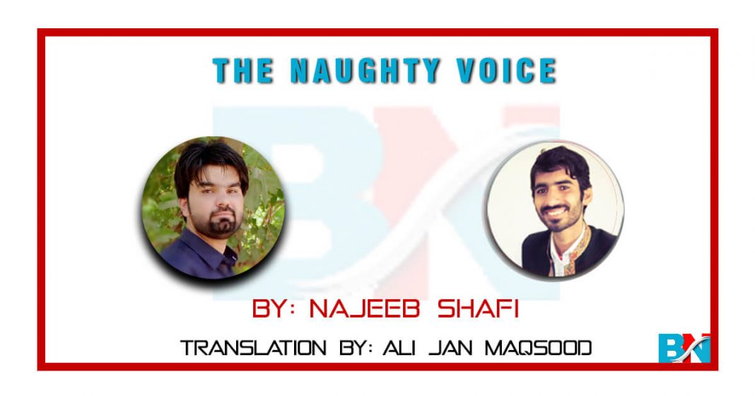 The Naughty Voice