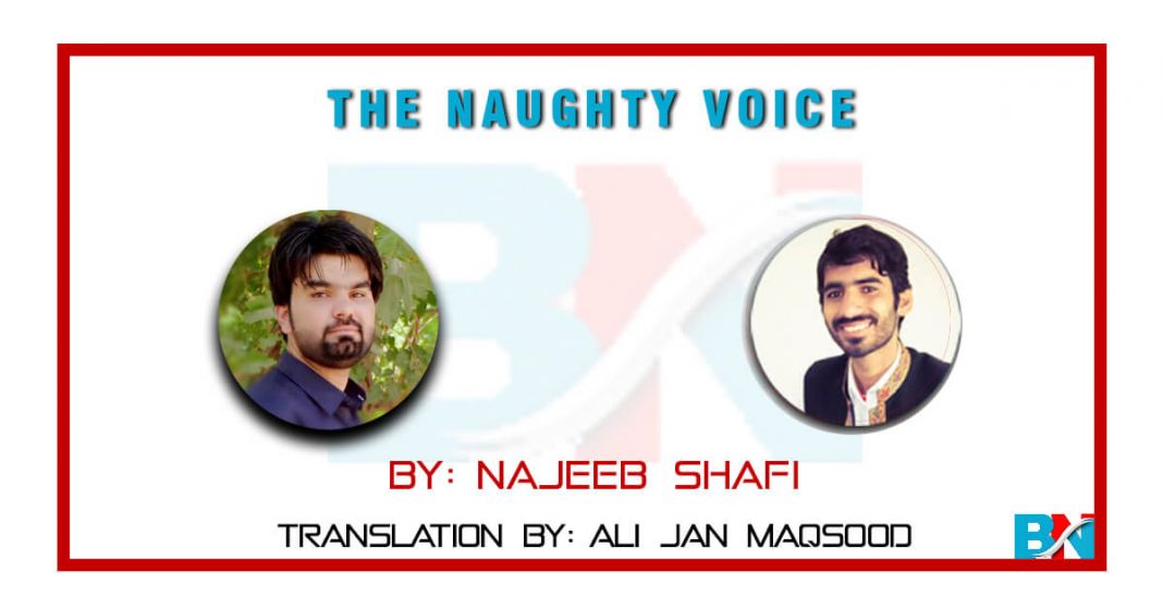 the-naughty-voice The Naughty Voice