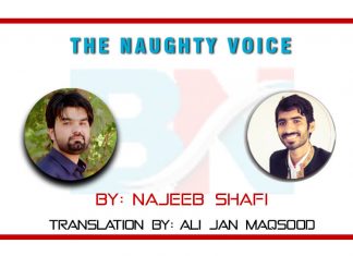 The Naughty Voice The Naughty Voice