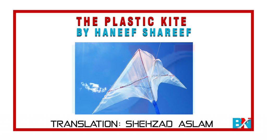 The Plastic Kite By Haneef Shareef