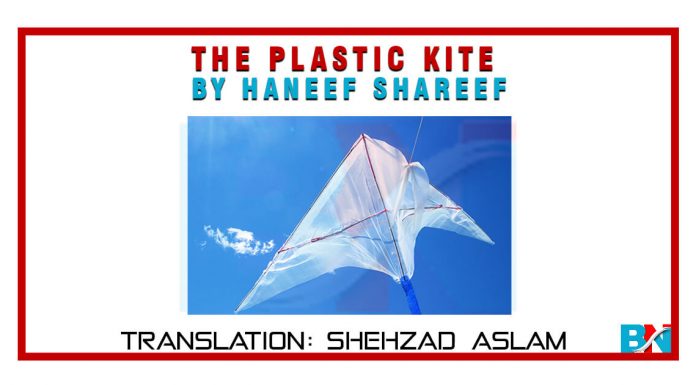 The Plastic Kite By Haneef Shareef