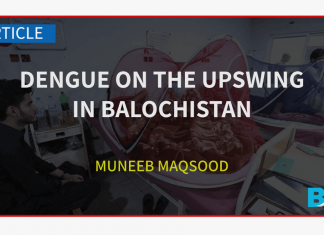 Dengue on the upswing in Balochistan Dengue on the upswing in Balochistan Muneeb Maqsood