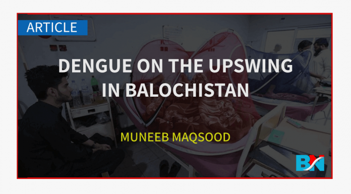 Dengue on the upswing in Balochistan Muneeb Maqsood