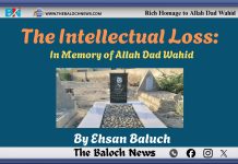 The Intellectual Loss: In Memory of Allah Dad Wahid
