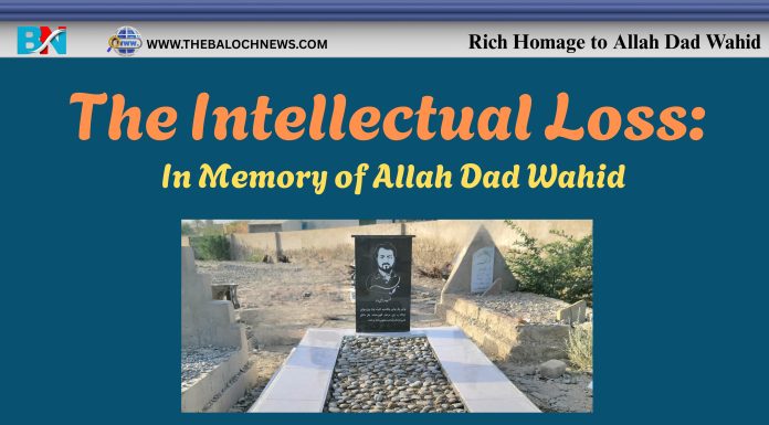 The Intellectual Loss: In Memory of Allah Dad Wahid