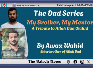 My Brother, My Mentor: A Tribute to Allah Dad Wahid