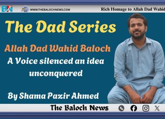 Allahdad Wahid Baloch: A Voice silenced an idea unconquered