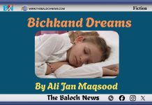Bichkand Dreams – By Ali Jan Maqsood