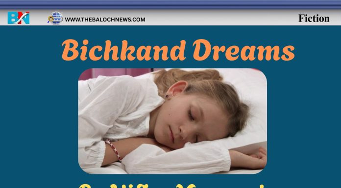 Bichkand Dreams – By Ali Jan Maqsood