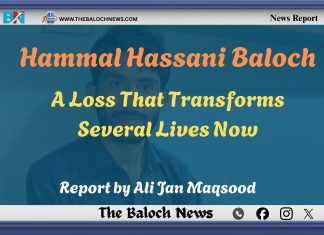 Hammal Hassani Advocate: A Loss That Transforms Several Lives Now