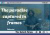 The paradise captured in frames