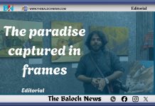 The paradise captured in frames