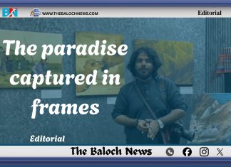 The paradise captured in frames
