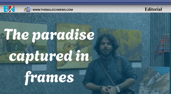 The paradise captured in frames